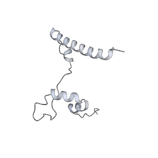 15100_8a22_Yd_v1-1
Structure of the mitochondrial ribosome from Polytomella magna