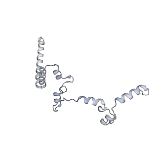15100_8a22_Yf_v1-1
Structure of the mitochondrial ribosome from Polytomella magna
