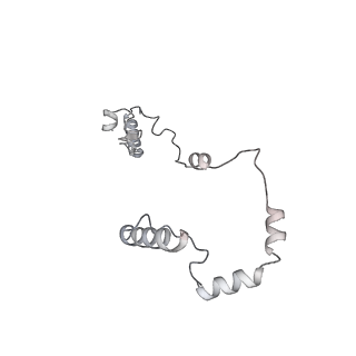 15100_8a22_Yi_v1-1
Structure of the mitochondrial ribosome from Polytomella magna