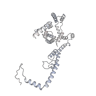 15100_8a22_Yj_v1-1
Structure of the mitochondrial ribosome from Polytomella magna