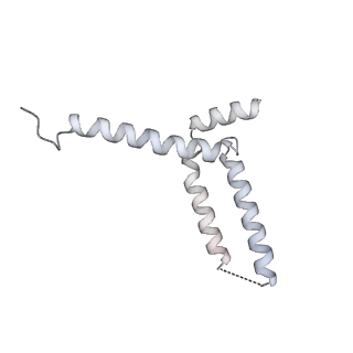 15100_8a22_Yk_v1-1
Structure of the mitochondrial ribosome from Polytomella magna