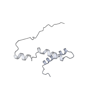 15100_8a22_Yl_v1-1
Structure of the mitochondrial ribosome from Polytomella magna