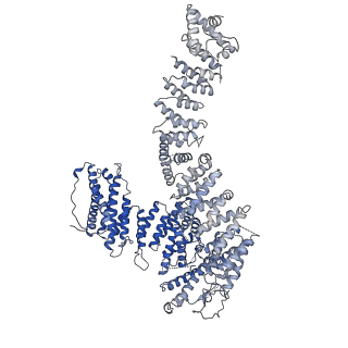 15101_8a2q_A_v1-2
Structure of the DNA-bound FANCD2-FANCI complex containing phosphomimetic FANCI
