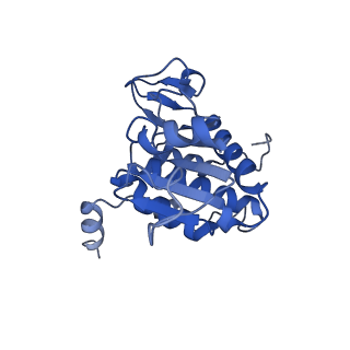 3019_5a2q_A_v1-1
Structure of the HCV IRES bound to the human ribosome