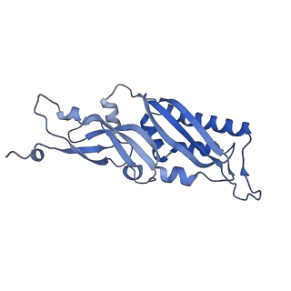 3019_5a2q_B_v1-1
Structure of the HCV IRES bound to the human ribosome