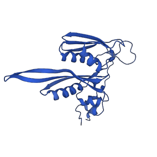 3019_5a2q_C_v1-1
Structure of the HCV IRES bound to the human ribosome