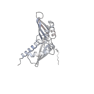 3019_5a2q_D_v1-1
Structure of the HCV IRES bound to the human ribosome