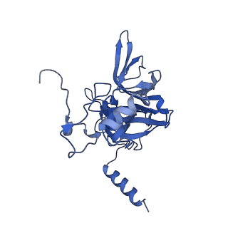 3019_5a2q_E_v1-1
Structure of the HCV IRES bound to the human ribosome
