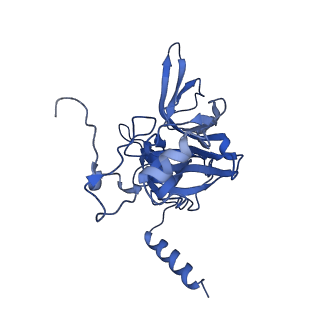3019_5a2q_E_v2-1
Structure of the HCV IRES bound to the human ribosome