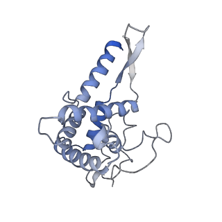 3019_5a2q_F_v2-1
Structure of the HCV IRES bound to the human ribosome