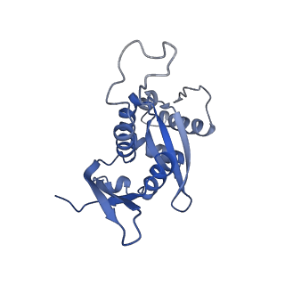 3019_5a2q_H_v1-1
Structure of the HCV IRES bound to the human ribosome