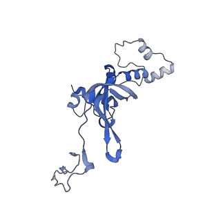 3019_5a2q_I_v1-1
Structure of the HCV IRES bound to the human ribosome