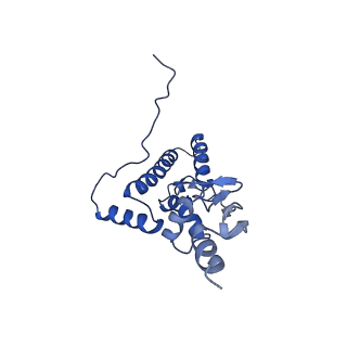 3019_5a2q_J_v1-1
Structure of the HCV IRES bound to the human ribosome