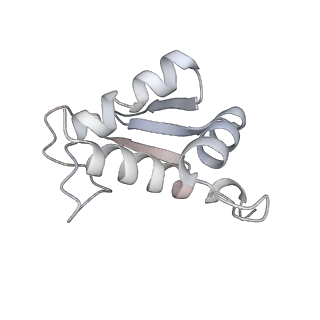 3019_5a2q_K_v1-1
Structure of the HCV IRES bound to the human ribosome