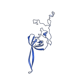 3019_5a2q_L_v1-1
Structure of the HCV IRES bound to the human ribosome