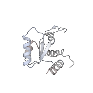 3019_5a2q_M_v1-1
Structure of the HCV IRES bound to the human ribosome