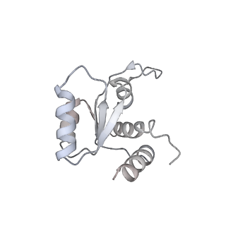 3019_5a2q_M_v2-1
Structure of the HCV IRES bound to the human ribosome
