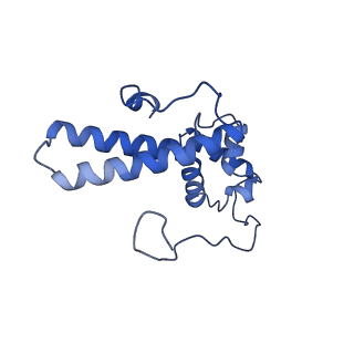 3019_5a2q_N_v1-1
Structure of the HCV IRES bound to the human ribosome