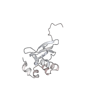 3019_5a2q_P_v1-1
Structure of the HCV IRES bound to the human ribosome