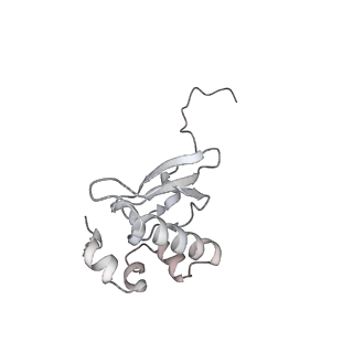 3019_5a2q_P_v2-1
Structure of the HCV IRES bound to the human ribosome