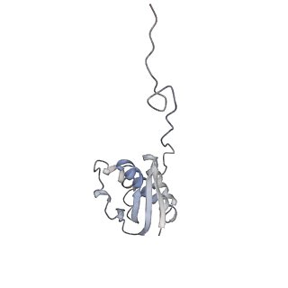 3019_5a2q_Q_v1-1
Structure of the HCV IRES bound to the human ribosome