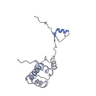 3019_5a2q_R_v1-1
Structure of the HCV IRES bound to the human ribosome