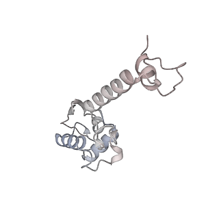 3019_5a2q_S_v1-1
Structure of the HCV IRES bound to the human ribosome