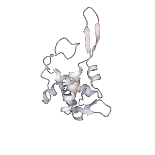 3019_5a2q_T_v1-1
Structure of the HCV IRES bound to the human ribosome