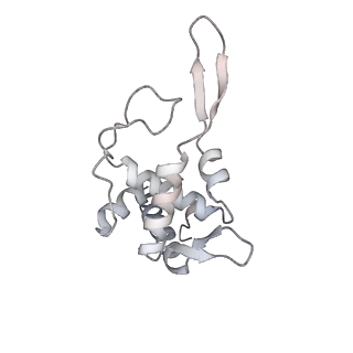 3019_5a2q_T_v2-1
Structure of the HCV IRES bound to the human ribosome