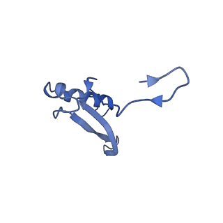 3019_5a2q_V_v1-1
Structure of the HCV IRES bound to the human ribosome