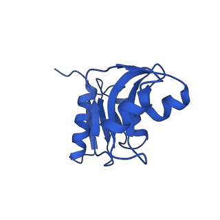 3019_5a2q_W_v1-1
Structure of the HCV IRES bound to the human ribosome