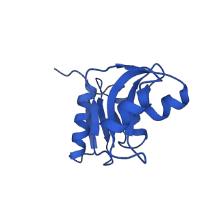 3019_5a2q_W_v2-1
Structure of the HCV IRES bound to the human ribosome