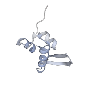 3019_5a2q_Z_v1-1
Structure of the HCV IRES bound to the human ribosome