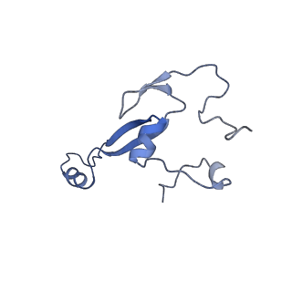 3019_5a2q_a_v1-1
Structure of the HCV IRES bound to the human ribosome