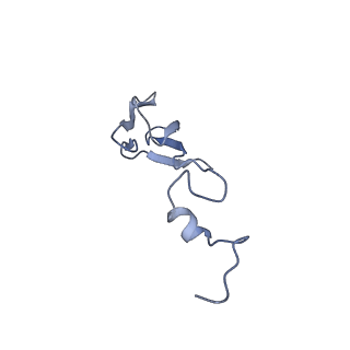 3019_5a2q_b_v1-1
Structure of the HCV IRES bound to the human ribosome