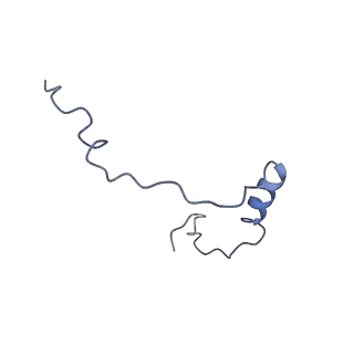 3019_5a2q_e_v1-1
Structure of the HCV IRES bound to the human ribosome