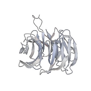 3019_5a2q_g_v1-1
Structure of the HCV IRES bound to the human ribosome