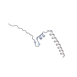 3019_5a2q_w_v1-1
Structure of the HCV IRES bound to the human ribosome