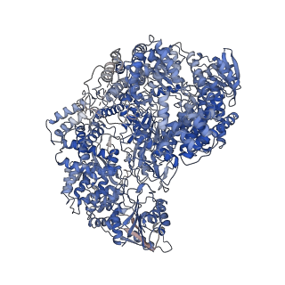 6337_5a22_A_v1-2
Structure of the L protein of vesicular stomatitis virus from electron cryomicroscopy