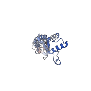 15110_8a3b_A_v1-0
Cryo-EM structure of mouse Pannexin 1 purified in Salipro nanoparticles
