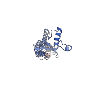 15110_8a3b_B_v1-0
Cryo-EM structure of mouse Pannexin 1 purified in Salipro nanoparticles