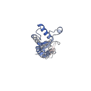 15110_8a3b_C_v1-0
Cryo-EM structure of mouse Pannexin 1 purified in Salipro nanoparticles