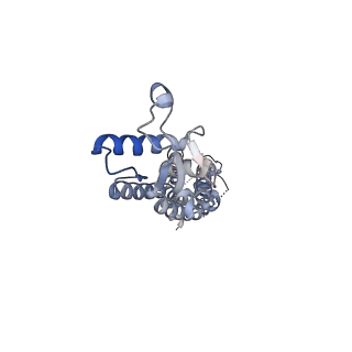 15110_8a3b_D_v1-0
Cryo-EM structure of mouse Pannexin 1 purified in Salipro nanoparticles
