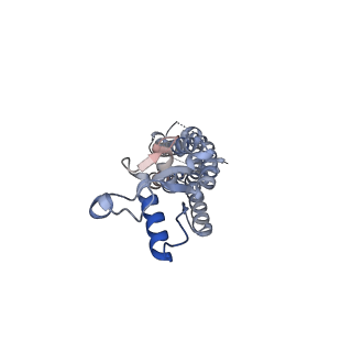 15110_8a3b_F_v1-0
Cryo-EM structure of mouse Pannexin 1 purified in Salipro nanoparticles