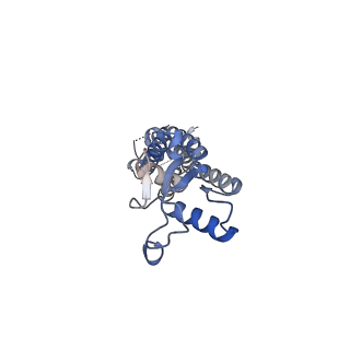 15110_8a3b_G_v1-0
Cryo-EM structure of mouse Pannexin 1 purified in Salipro nanoparticles