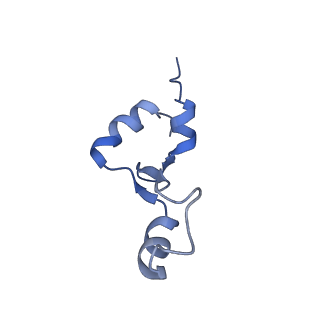 15116_8a3l_2_v1-0
Structural insights into the binding of bS1 to the ribosome