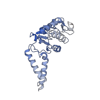 15116_8a3l_B_v1-0
Structural insights into the binding of bS1 to the ribosome