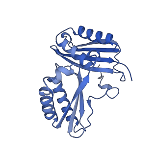 15116_8a3l_C_v1-0
Structural insights into the binding of bS1 to the ribosome