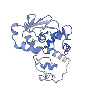 15116_8a3l_D_v1-0
Structural insights into the binding of bS1 to the ribosome