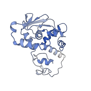 15116_8a3l_D_v2-0
Structural insights into the binding of bS1 to the ribosome
